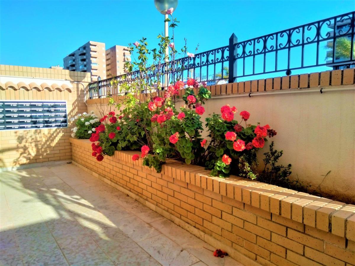 Acv - Valparaiso-2ª Linea Planta 1 Norte Orpesa Kültér fotó